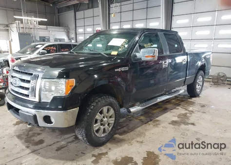 2009 Ford F-150 Xlt from USA, damaged, VIN 1FTPW14V49FB35484